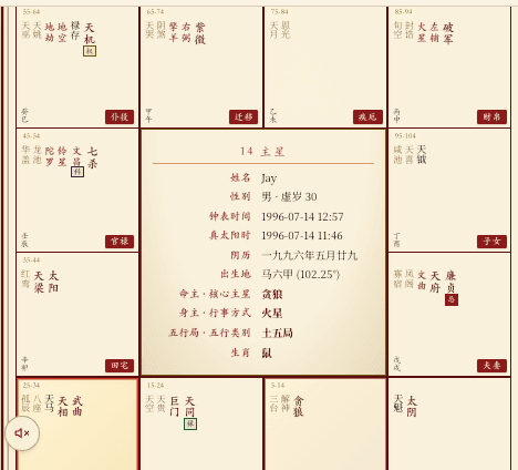 A 紫微斗数 chart